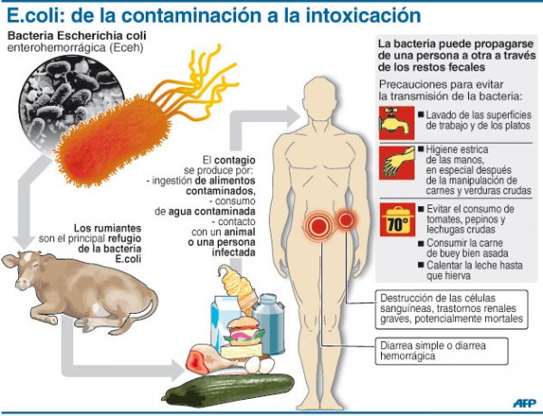 E. coli y SUH